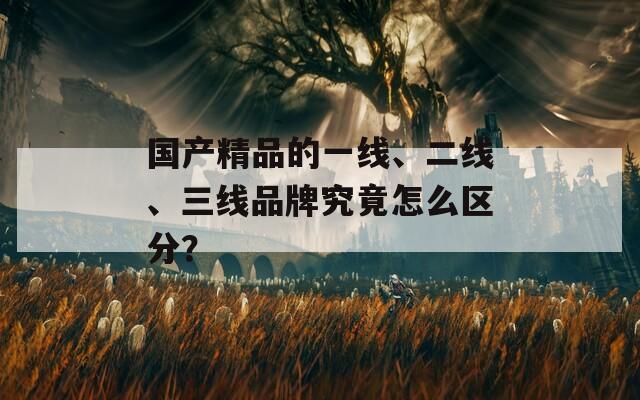 国产精品的一线、二线、三线品牌究竟怎么区分？