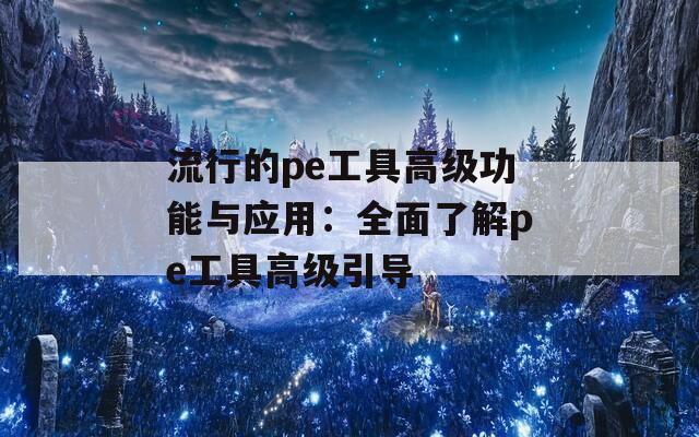 流行的pe工具高级功能与应用：全面了解pe工具高级引导