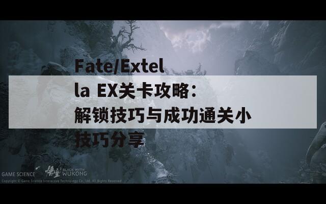 Fate/Extella EX关卡攻略：解锁技巧与成功通关小技巧分享