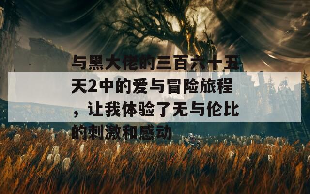 与黑大佬的三百六十五天2中的爱与冒险旅程，让我体验了无与伦比的刺激和感动