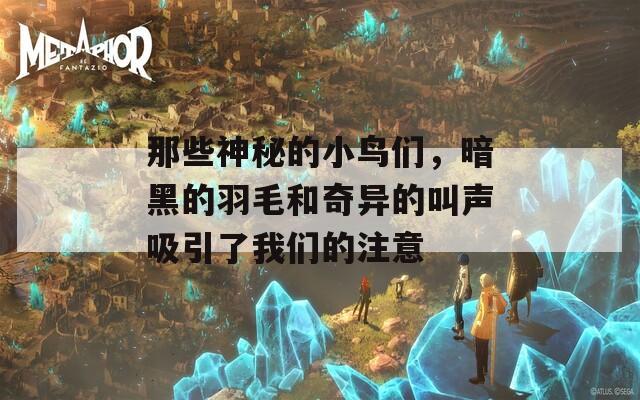 那些神秘的小鸟们，暗黑的羽毛和奇异的叫声吸引了我们的注意