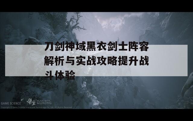 刀剑神域黑衣剑士阵容解析与实战攻略提升战斗体验