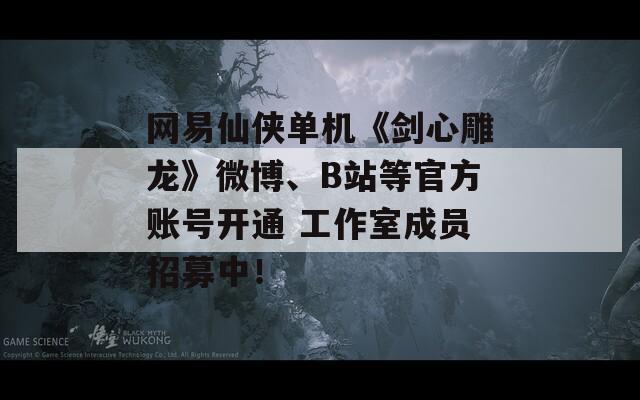 网易仙侠单机《剑心雕龙》微博、B站等官方账号开通 工作室成员招募中！