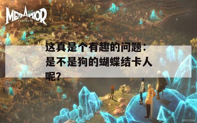 这真是个有趣的问题：是不是狗的蝴蝶结卡人呢？