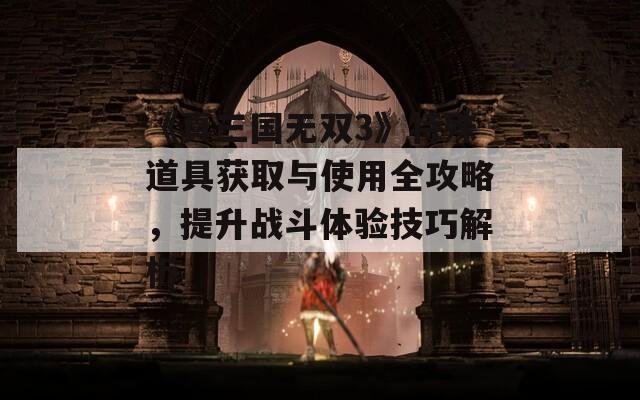 《真三国无双3》特殊道具获取与使用全攻略，提升战斗体验技巧解析