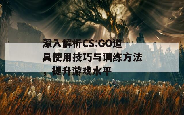 深入解析CS:GO道具使用技巧与训练方法，提升游戏水平