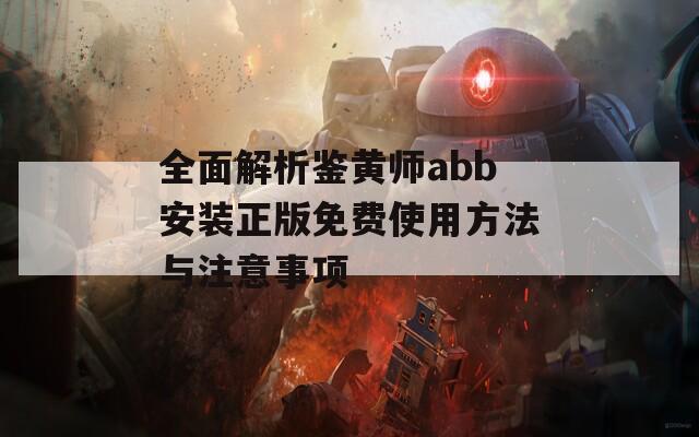 全面解析鉴黄师abb安装正版免费使用方法与注意事项