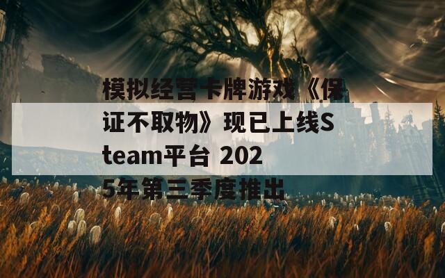 模拟经营卡牌游戏《保证不取物》现已上线Steam平台 2025年第三季度推出