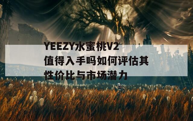 YEEZY水蜜桃V2值得入手吗如何评估其性价比与市场潜力