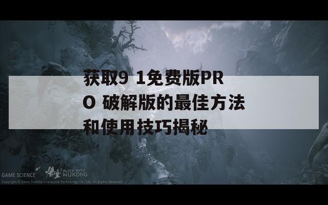 获取9 1免费版PRO 破解版的最佳方法和使用技巧揭秘