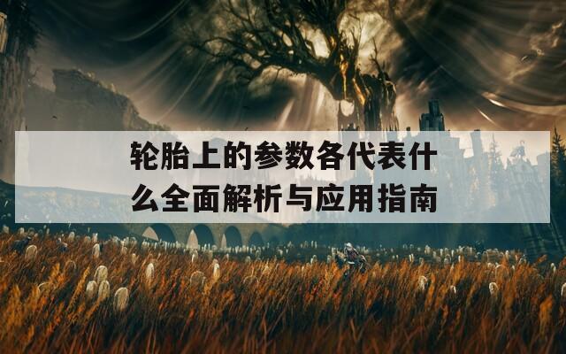 轮胎上的参数各代表什么全面解析与应用指南