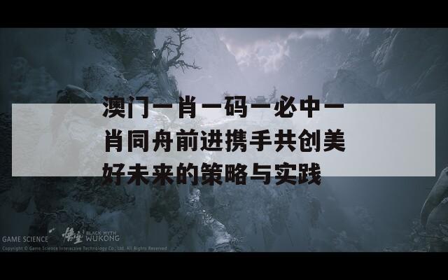 澳门一肖一码一必中一肖同舟前进携手共创美好未来的策略与实践