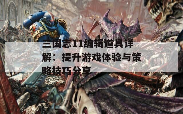 三国志11编辑道具详解：提升游戏体验与策略技巧分享