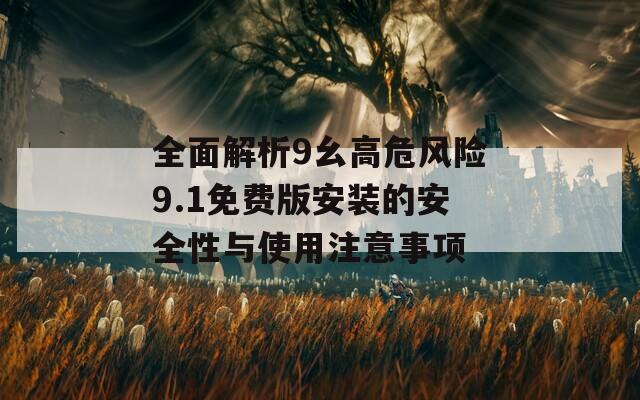 全面解析9幺高危风险9.1免费版安装的安全性与使用注意事项