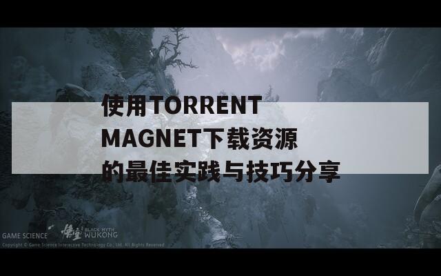 使用TORRENT MAGNET下载资源的最佳实践与技巧分享