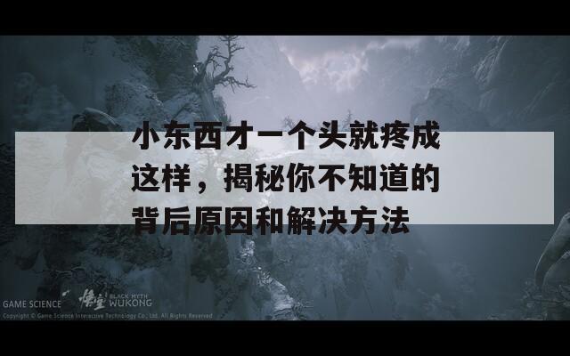 小东西才一个头就疼成这样，揭秘你不知道的背后原因和解决方法