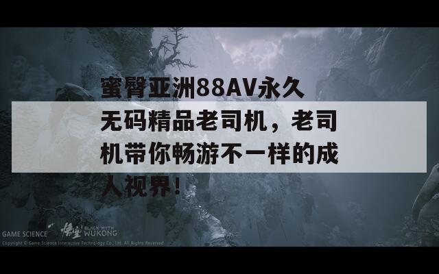 蜜臀亚洲88AV永久无码精品老司机，老司机带你畅游不一样的成人视界！