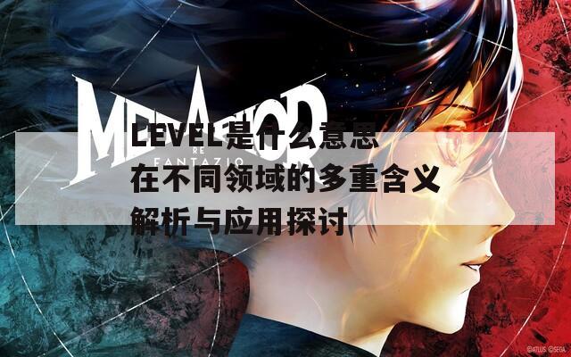 LEVEL是什么意思在不同领域的多重含义解析与应用探讨