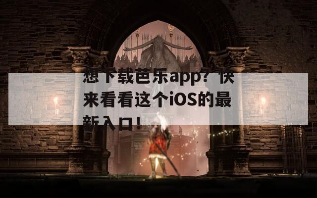 想下载芭乐app？快来看看这个iOS的最新入口！