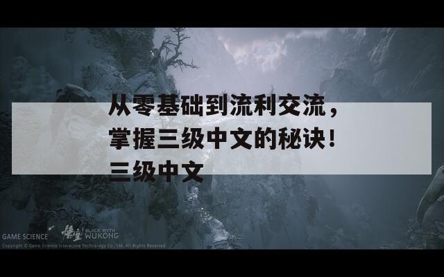 从零基础到流利交流，掌握三级中文的秘诀！三级中文