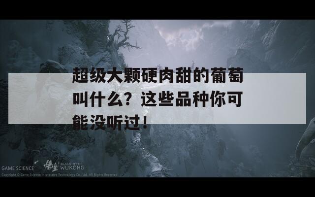 超级大颗硬肉甜的葡萄叫什么？这些品种你可能没听过！