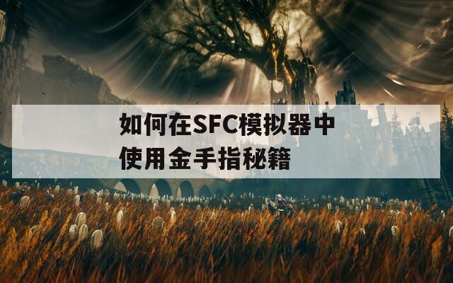 如何在SFC模拟器中使用金手指秘籍