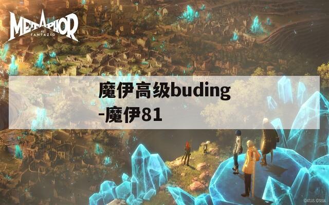 魔伊高级buding-魔伊81