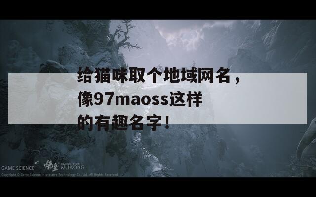 给猫咪取个地域网名，像97maoss这样的有趣名字！