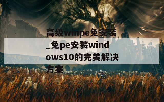 高级winpe免安装_免pe安装windows10的完美解决方案