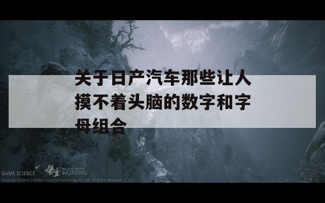 关于日产汽车那些让人摸不着头脑的数字和字母组合