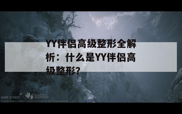 YY伴侣高级整形全解析：什么是YY伴侣高级整形？